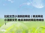 比较文艺小清新的网名（唯美网名小清新文艺 唯美清新的网名有哪些）