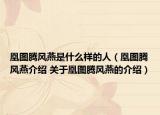凰图腾风燕是什么样的人（凰图腾风燕介绍 关于凰图腾风燕的介绍）