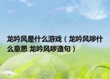 龙吟风是什么游戏（龙吟风哕什么意思 龙吟风哕造句）