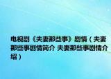 电视剧《夫妻那些事》剧情（夫妻那些事剧情简介 夫妻那些事剧情介绍）