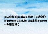 p站全称叫porhub网址（p站全称叫proumb怎么进 p站全称叫proumb如何进）