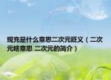 现充是什么意思二次元贬义（二次元啥意思 二次元的简介）