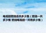 电视剧燃烧总共多少集（燃烧一共多少集 燃烧电视剧一共有多少集）