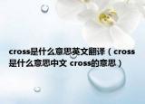 cross是什么意思英文翻译（cross是什么意思中文 cross的意思）