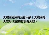 大熊猫到底有没有天敌（大熊猫有天敌吗 大熊猫有没有天敌）