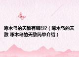 啄木鸟的天敌有哪些?（啄木鸟的天敌 啄木鸟的天敌简单介绍）