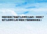 微信中的拍了拍是什么意思怎么操作（微信拍了拍什么意思怎么用 微信拍了拍的解释和用法）