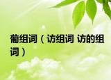 葡组词（访组词 访的组词）