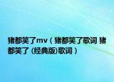 猪都笑了mv（猪都笑了歌词 猪都笑了 (经典版)歌词）