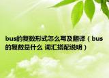 bus的复数形式怎么写及翻译（bus的复数是什么 词汇搭配说明）