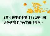 1英寸等于多少英寸?（1英寸等于多少毫米 1英寸是几毫米）