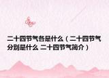二十四节气各是什么（二十四节气分别是什么 二十四节气简介）