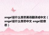 angel是什么意思英语翻译成中文（angel是什么意思中文 angel的意思）
