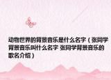 动物世界的背景音乐是什么名字（张同学背景音乐叫什么名字 张同学背景音乐的歌名介绍）