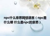 npc什么意思网络语言（npc是什么梗 什么是npc的意思）