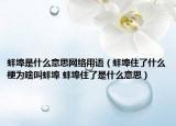 蚌埠是什么意思网络用语（蚌埠住了什么梗为啥叫蚌埠 蚌埠住了是什么意思）