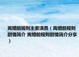 离婚前规则主要演员（离婚前规则剧情简介 离婚前规则剧情简介分享）