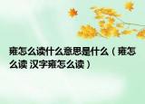 雍怎么读什么意思是什么（雍怎么读 汉字雍怎么读）