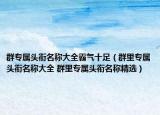群专属头衔名称大全霸气十足（群里专属头衔名称大全 群里专属头衔名称精选）
