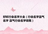 好听行会名字大全（行会名字霸气名字 霸气行会名字锦集）