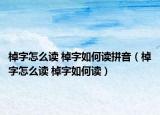 棹字怎么读 棹字如何读拼音（棹字怎么读 棹字如何读）