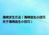 海啸求生方法（海啸逃生小技巧 关于海啸逃生小技巧）