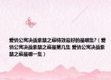 爱情公寓决战紫禁之巅特效最好的是哪集?（爱情公寓决战紫禁之巅是第几集 爱情公寓决战紫禁之巅是哪一集）