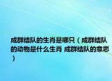 成群结队的生肖是哪只（成群结队的动物是什么生肖 成群结队的意思）