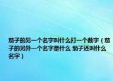 茄子的另一个名字叫什么打一个数字（茄子的另外一个名字是什么 茄子还叫什么名字）