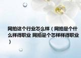网拍这个行业怎么样（网拍是个什么样得职业 网拍是个怎样样得职业）
