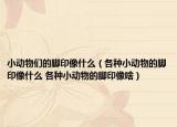 小动物们的脚印像什么（各种小动物的脚印像什么 各种小动物的脚印像啥）