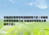 幸福请你等等我电视剧剧情介绍（幸福请你等等我剧情介绍 幸福请你等等我主要演员介绍）