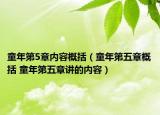 童年第5章内容概括（童年第五章概括 童年第五章讲的内容）