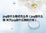 jpg是什么格式怎么弄（jpg是什么梗 关于jpg是什么梗的介绍）