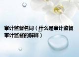 审计监督名词（什么是审计监督 审计监督的解释）