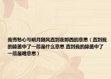 我寄愁心与明月随风直到夜郎西的意思（直到我的膝盖中了一箭是什么意思 直到我的膝盖中了一箭是啥意思）