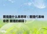 菩提是什么意思呀（菩提代表啥意思 菩提的解释）