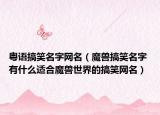 粤语搞笑名字网名（魔兽搞笑名字 有什么适合魔兽世界的搞笑网名）