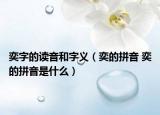 奕字的读音和字义（奕的拼音 奕的拼音是什么）