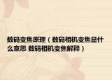 数码变焦原理（数码相机变焦是什么意思 数码相机变焦解释）