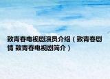 致青春电视剧演员介绍（致青春剧情 致青春电视剧简介）