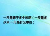 一尺是等于多少米啊（一尺是多少米 一尺是什么单位）