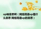 up啥意思啊（网络用语up是什么意思 网络用语up的意思）