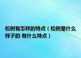 松树有怎样的特点（松树是什么样子的 有什么特点）