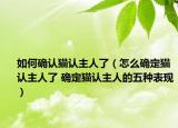 如何确认猫认主人了（怎么确定猫认主人了 确定猫认主人的五种表现）