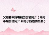 父辈的荣耀电视剧剧情简介（拜托小姐剧情简介 拜托小姐剧情概要）