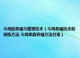 斗鸡的养殖与管理技术（斗鸡养殖技术和训练方法 斗鸡家庭养殖方法分享）