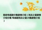 前夜电视剧分集剧情介绍（泡沫之夏剧情介绍分集 电视剧泡沫之夏15集剧情介绍）