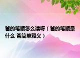爸的笔顺怎么读呀（爸的笔顺是什么 爸简单释义）