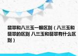 翡翠和八三玉一眼区别（八三玉和翡翠的区别 八三玉和翡翠有什么区别）